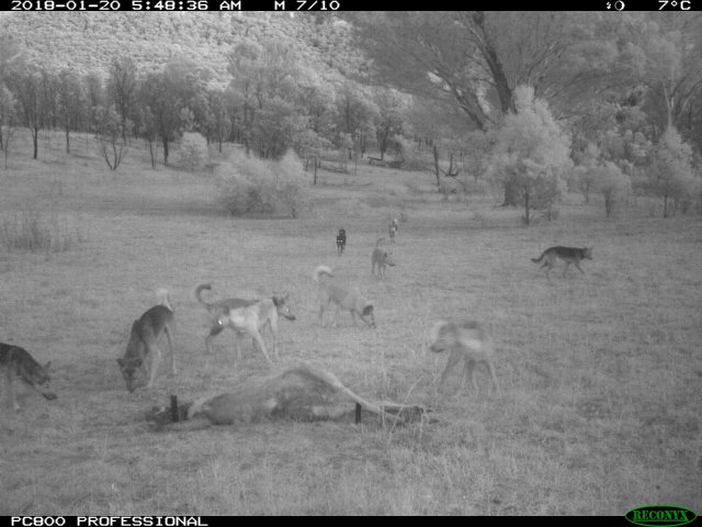 DUEfm4xUQAIzd4I.jpg large.jpg